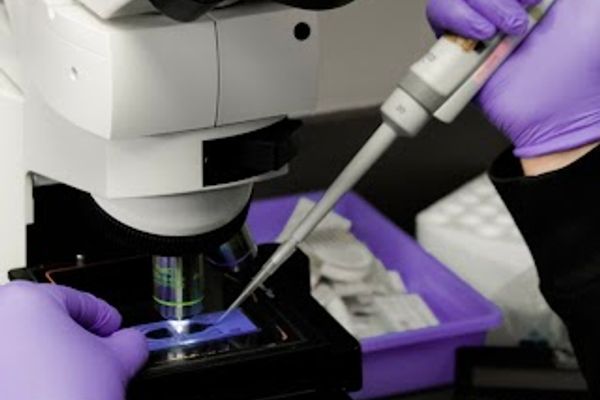 Alabama Center for Reproductive Medicine (ACRM) - Montgomery