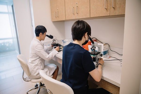 California Dream Fertility Center-Fangyin Meng MD