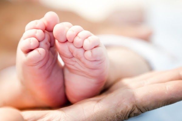 Washington Fertility Center